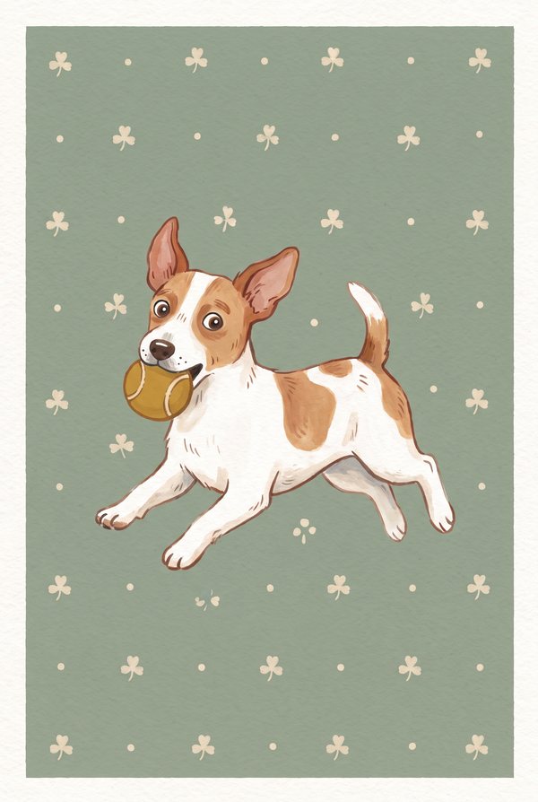 A jack russell leaping with a ball in its mouth on a sage green background